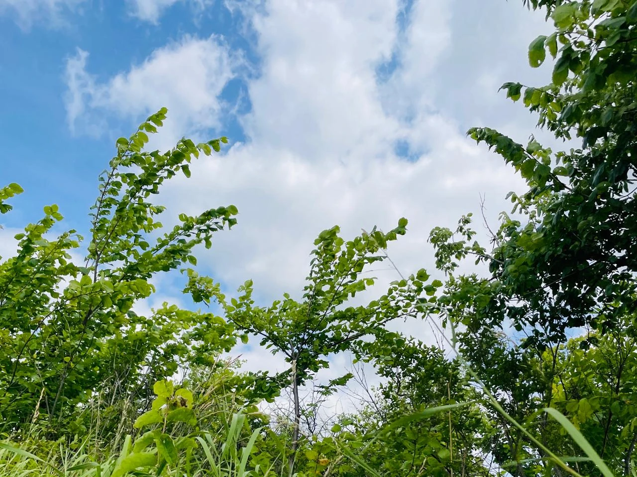 Жара до 33 градусов ожидается на западе Казахстана 2 сентября